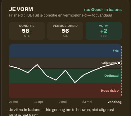 Je vorm, eerlijk in beeld